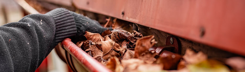 Gutter Cleaning