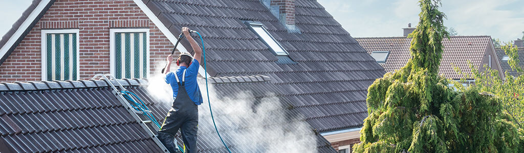 Roof Cleaning